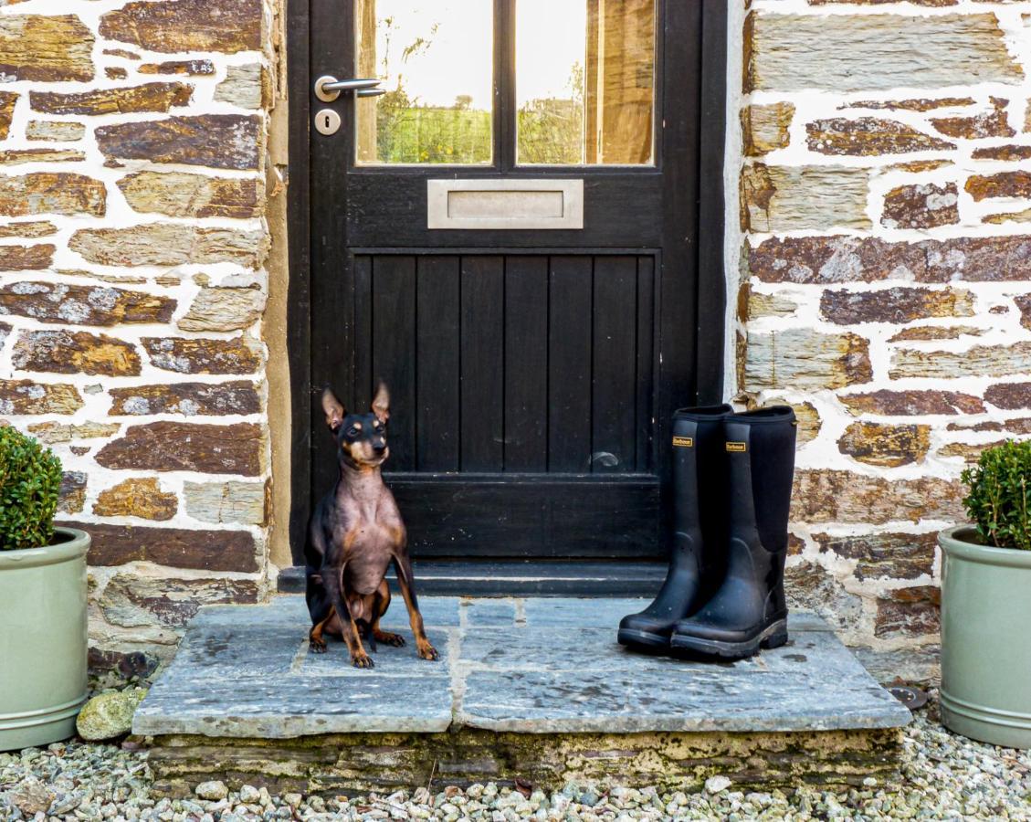 Little PetherickGwel An Heyl, Padstow别墅 外观 照片