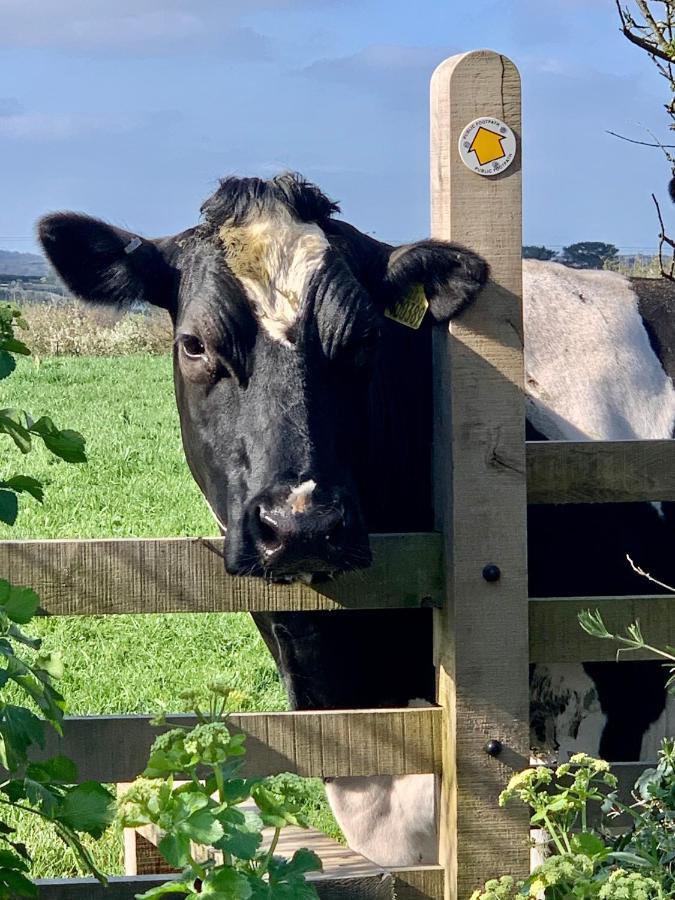 Little PetherickGwel An Heyl, Padstow别墅 外观 照片